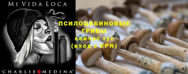 дживик Арсеньев