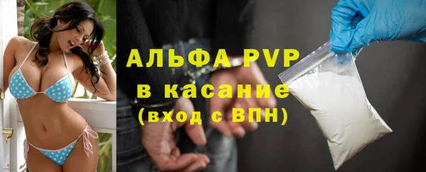 дживик Арсеньев