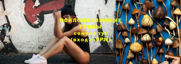 а пвп мука Аркадак