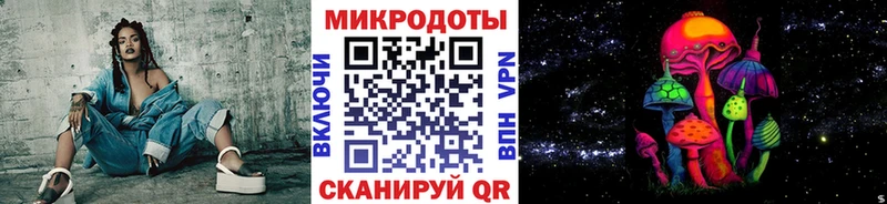 Купить закладки  Кемь  Псилоцибиновые грибы Psilocybe 