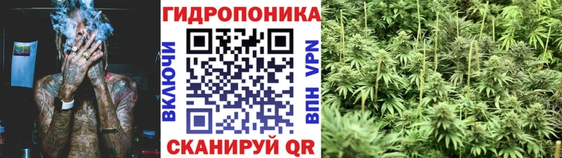 Купить  Кемь  Каннабис конопля 